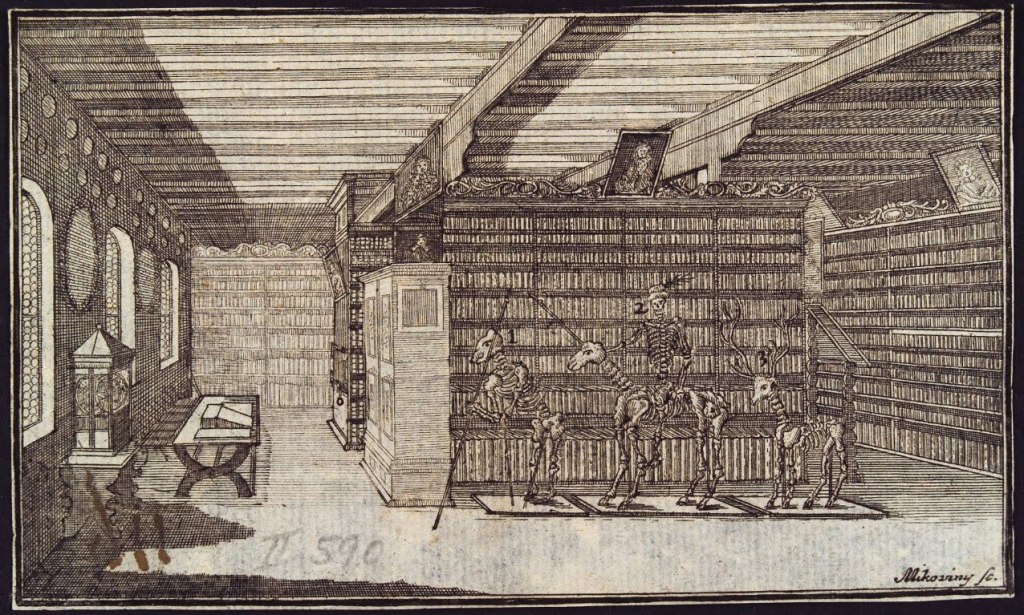 On Seeing a Large Library: A Meditation by Joseph&nbsp;Hall